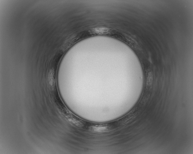X0000080780651200701122123