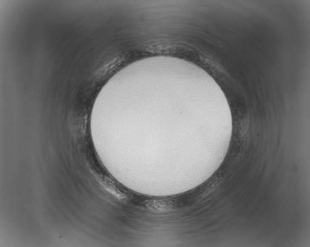 X0000080780652200701122123