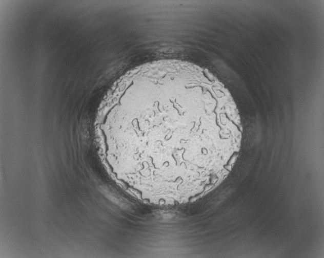 X0000080780654200701122123