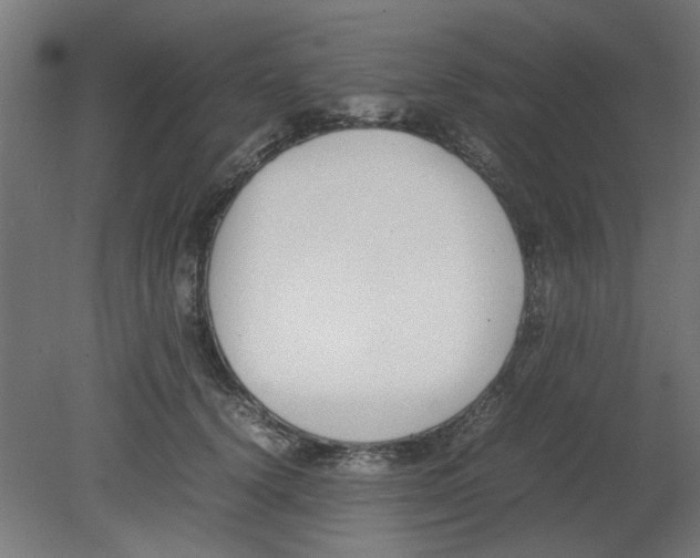 X0000080780656200701122123