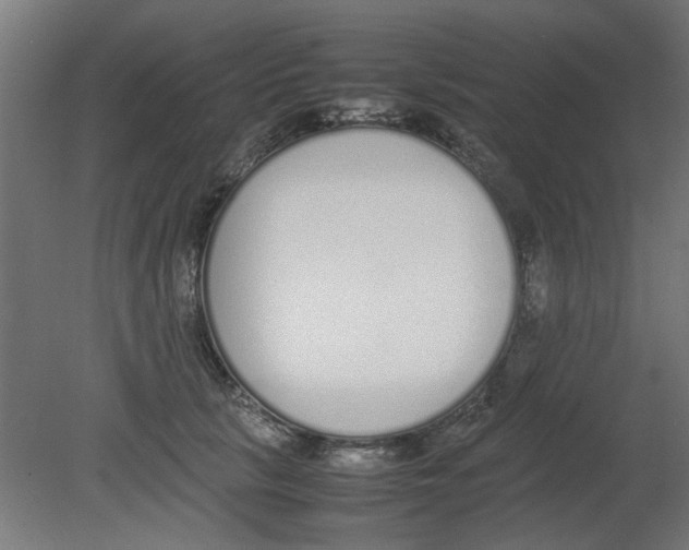 X0000080780657200701122123