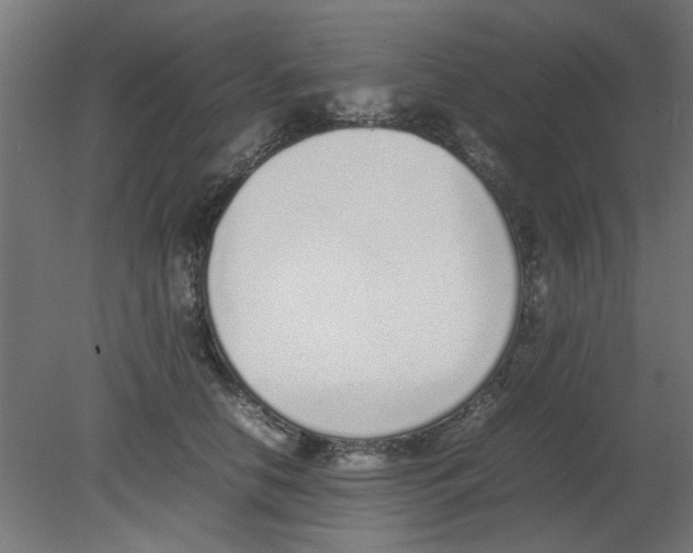 X0000080780658200701122123