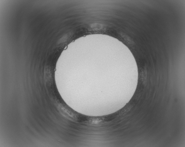 X0000080780662200701122123