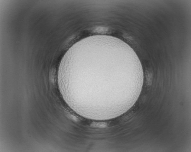 X0000080780665200701122123