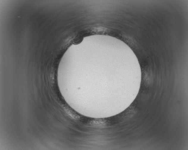 X0000080780668200701122123