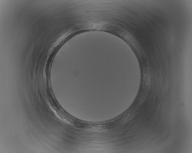 X0000080780674200701122122