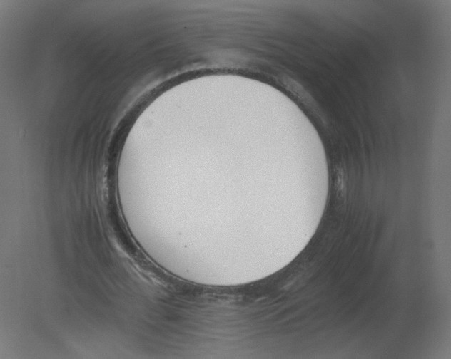 X0000080780676200701122122