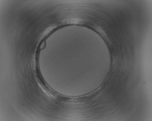 X0000080780678200701122122