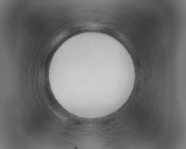 X0000080780679200701122122
