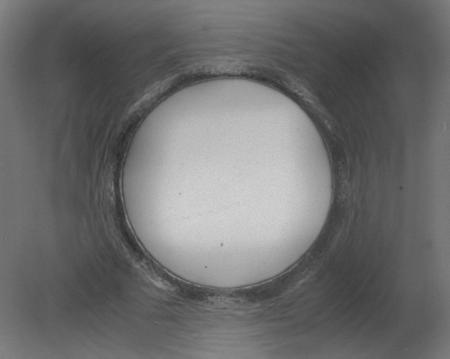 X0000080780681200701122122