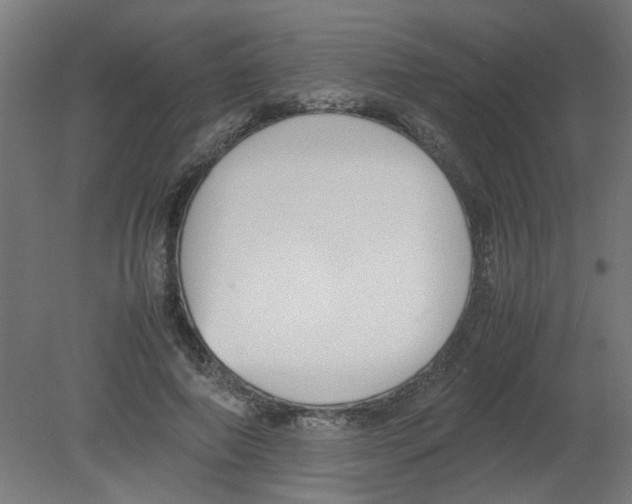 X0000080780690200701122122