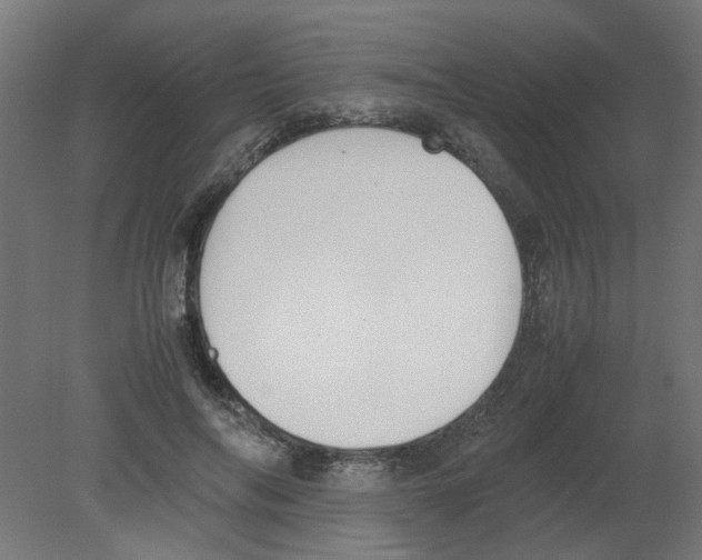 X0000080780694200701122122
