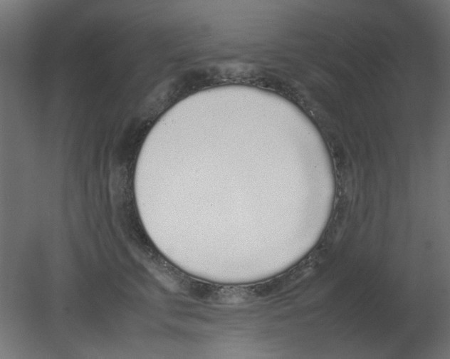 X0000080780711200701122122