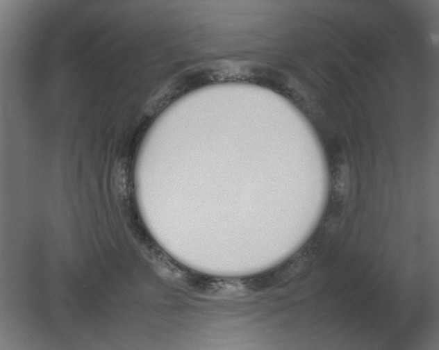 X0000080780715200701122121