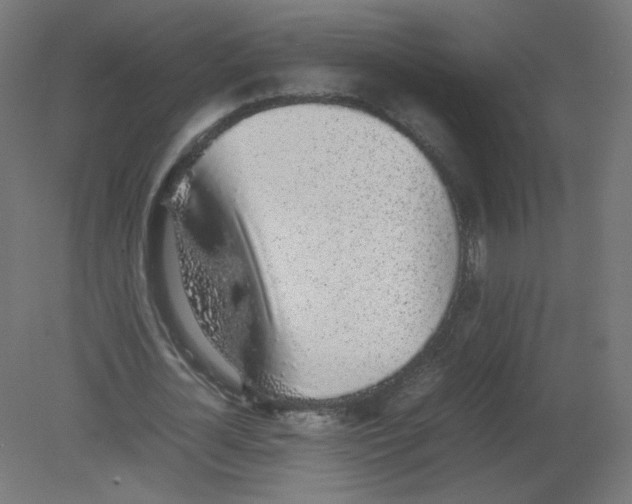 X0000080780724200701122121
