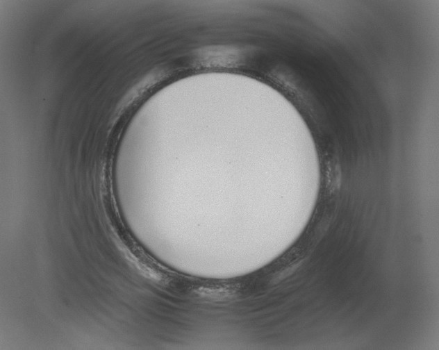X0000080780725200701122121