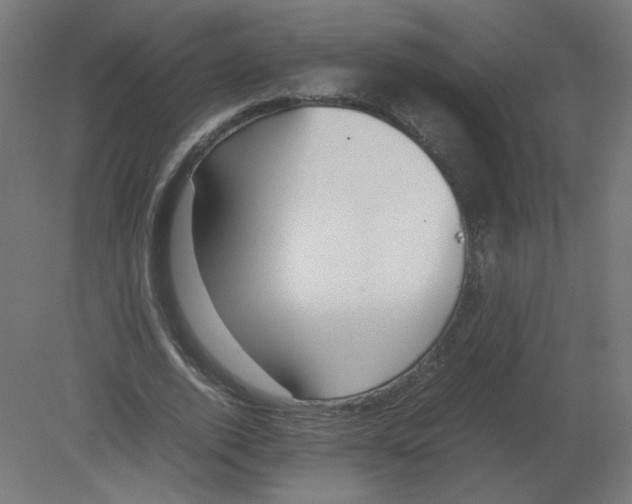 X0000080780728200701122121