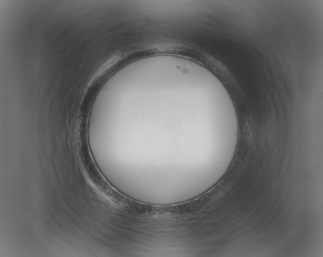 X0000080780730200701122121