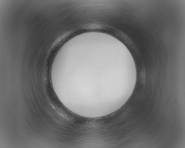 X0000080780732200701122121