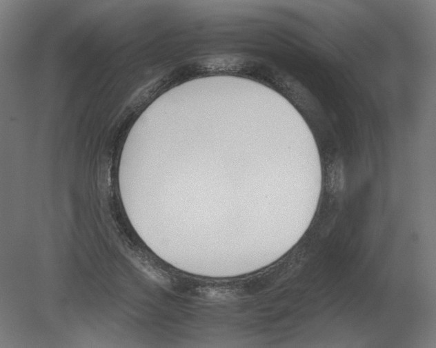 X0000080780733200701122121