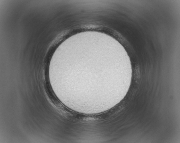 X0000080780734200701122121