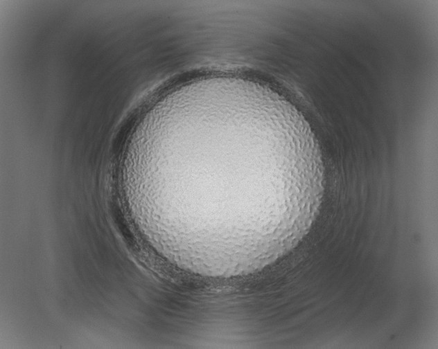 X0000080780736200701122121