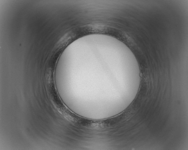 X0000080780744200701122121