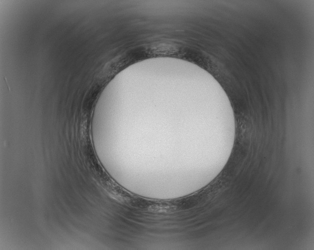 X0000080780745200701122121