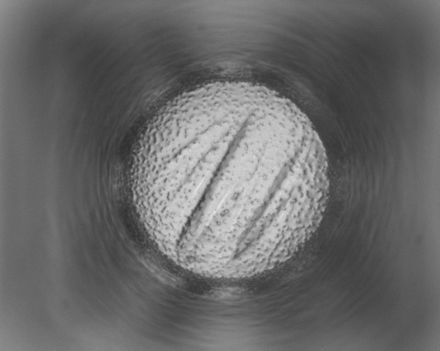 X0000080780748200701122121