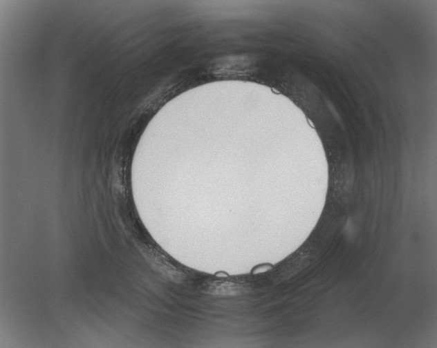 X0000080780755200701122121