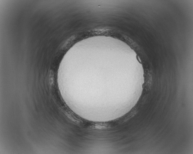 X0000080780758200701122121