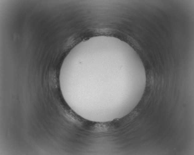 X0000080780764200701122121