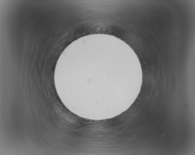 X0000080780769200701122121
