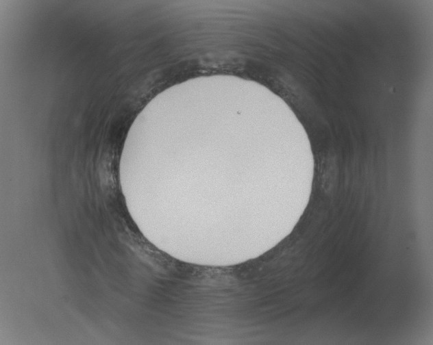 X0000080780770200701122121