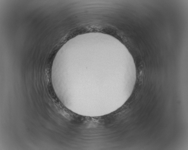 X0000080780772200701122121