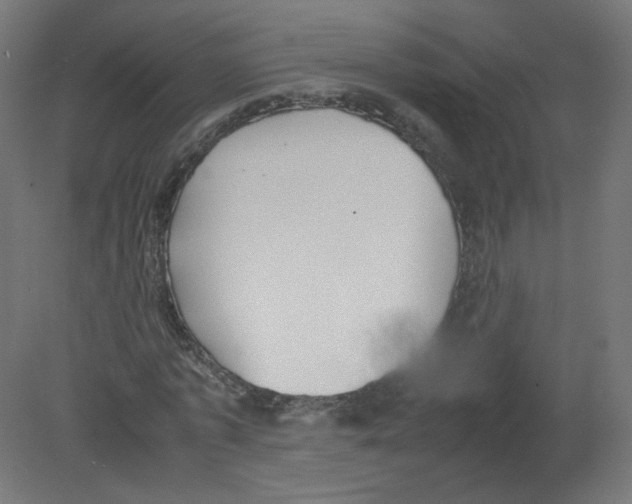 X0000080780773200701122120