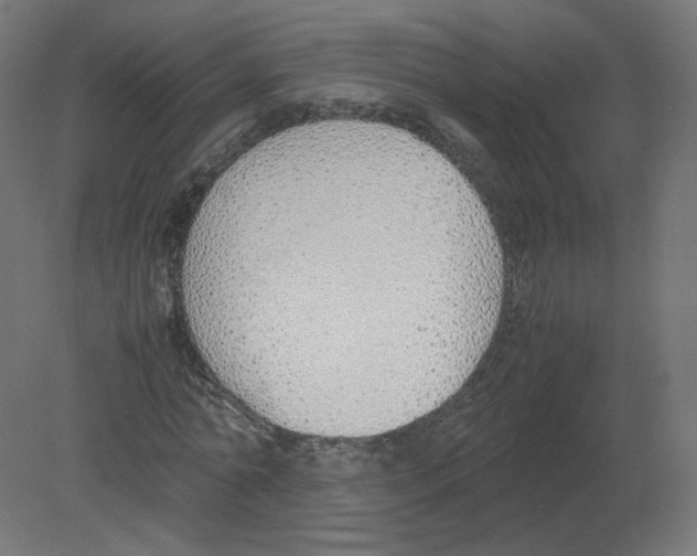 X0000080780774200701122120