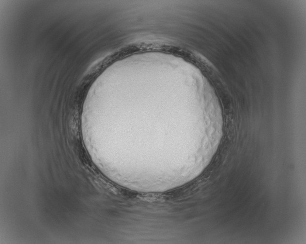 X0000080780775200701122120