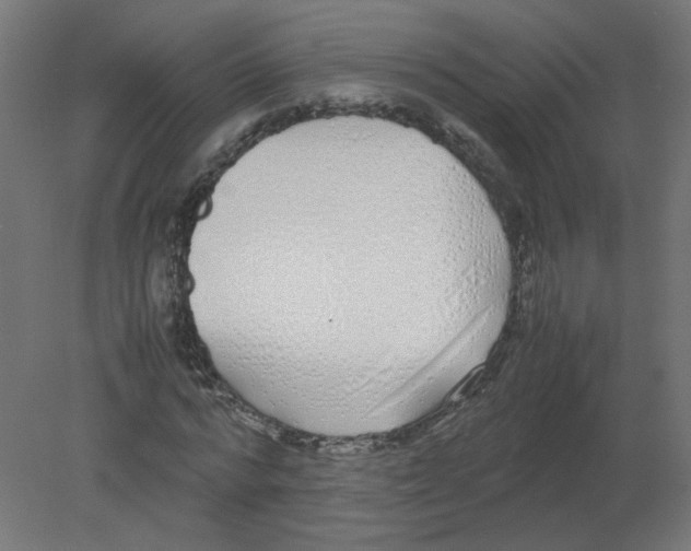 X0000080780776200701122120