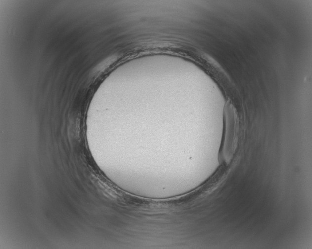 X0000080780777200701122120