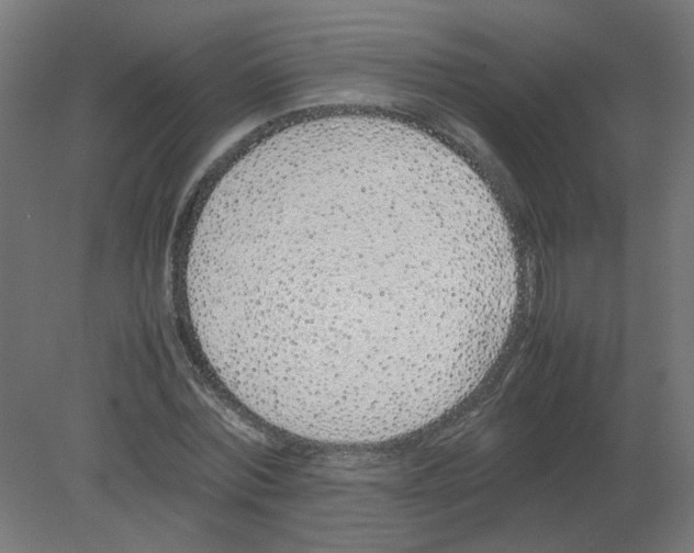 X0000080780780200701122120