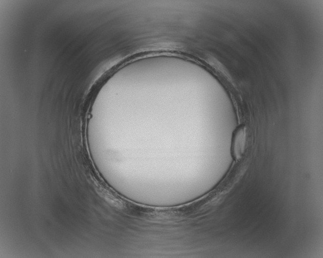X0000080780781200701122120