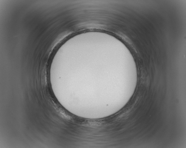 X0000080780782200701122120