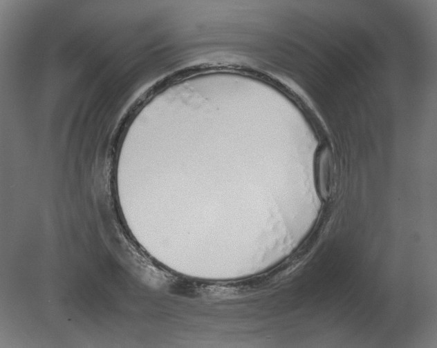 X0000080780783200701122120