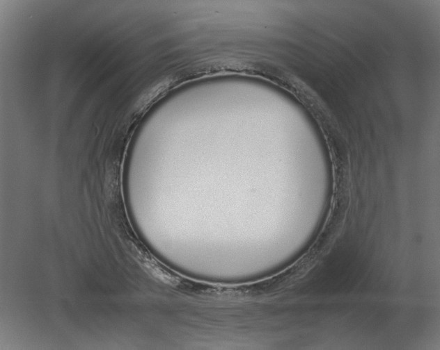 X0000080780785200701122120