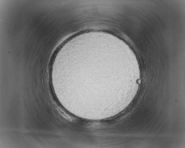 X0000080780787200701122120