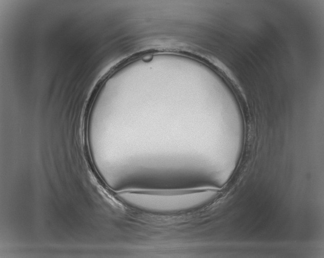 X0000080780791200701122120