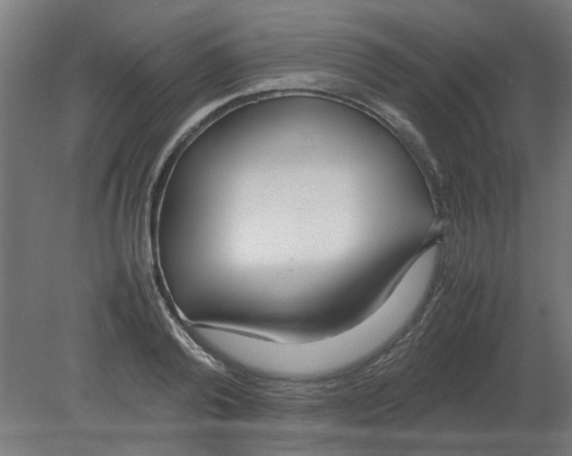 X0000080780792200701122120