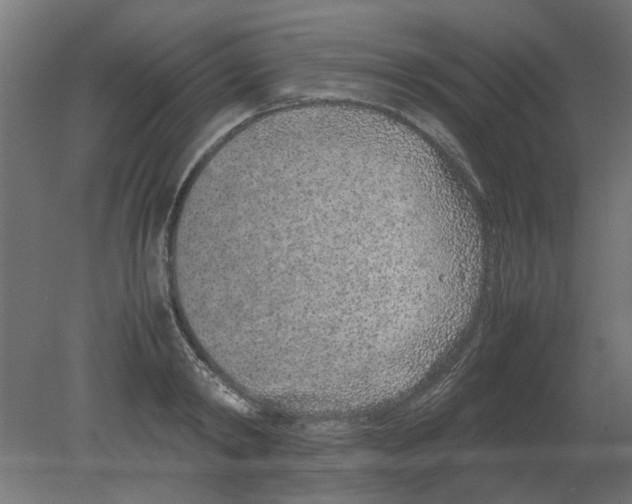 X0000080780798200701122120