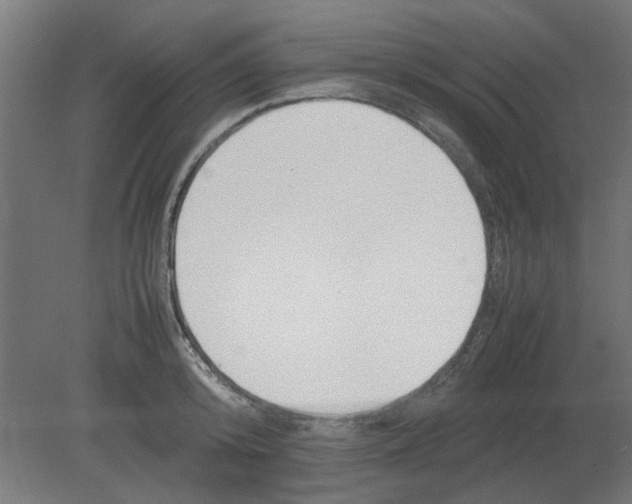 X0000080780800200701122120